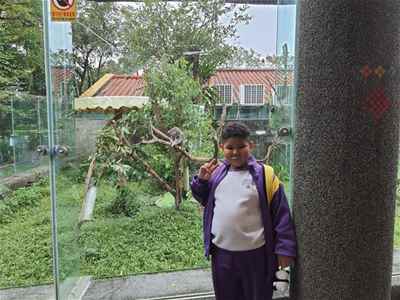 photo